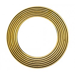 Taylor Ring 2" Id 4" Od